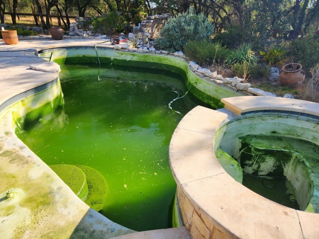 What do I do if my pool turns green?