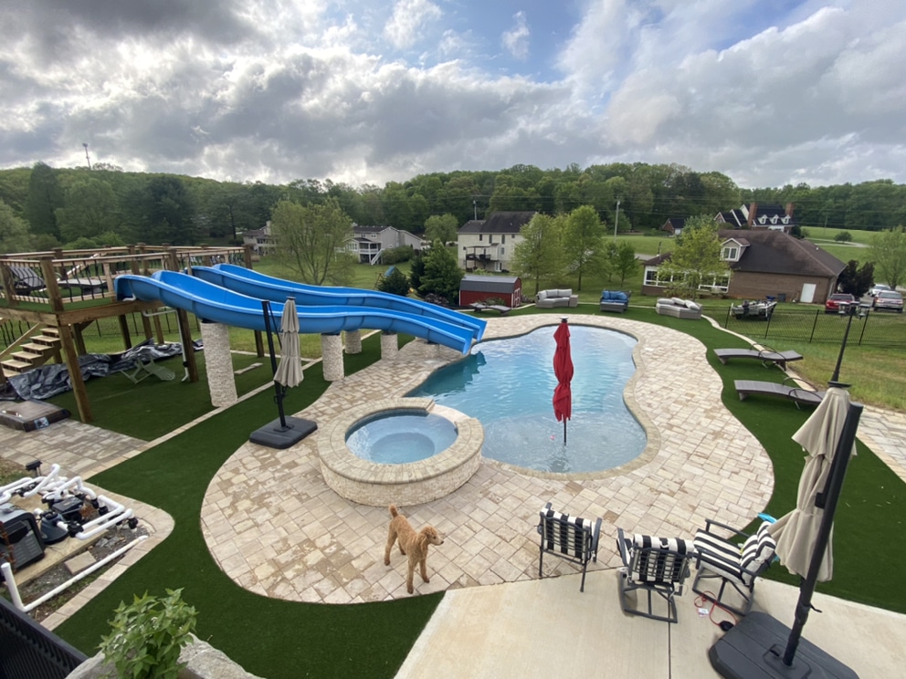 Backyard pool with slide and dog