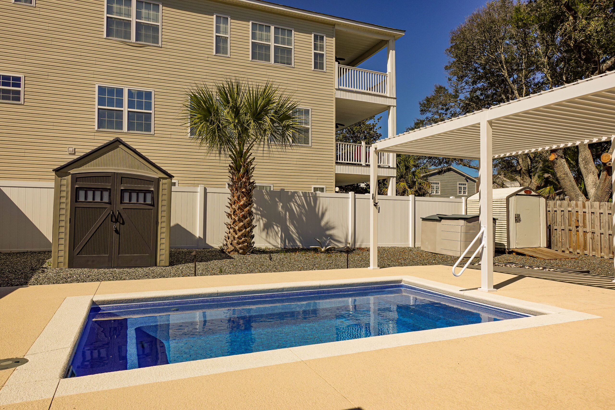 Backyard pool with palm trees.